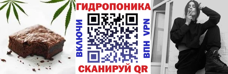 даркнет телеграм Жирновск Canna-Cookies марихуана купить цена