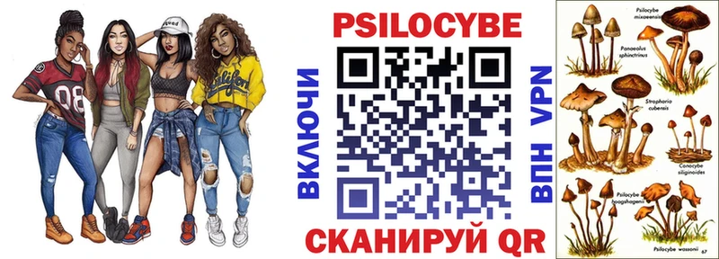 ссылка на мегу ССЫЛКА  Жирновск  Псилоцибиновые грибы мухоморы  что такое наркотик 